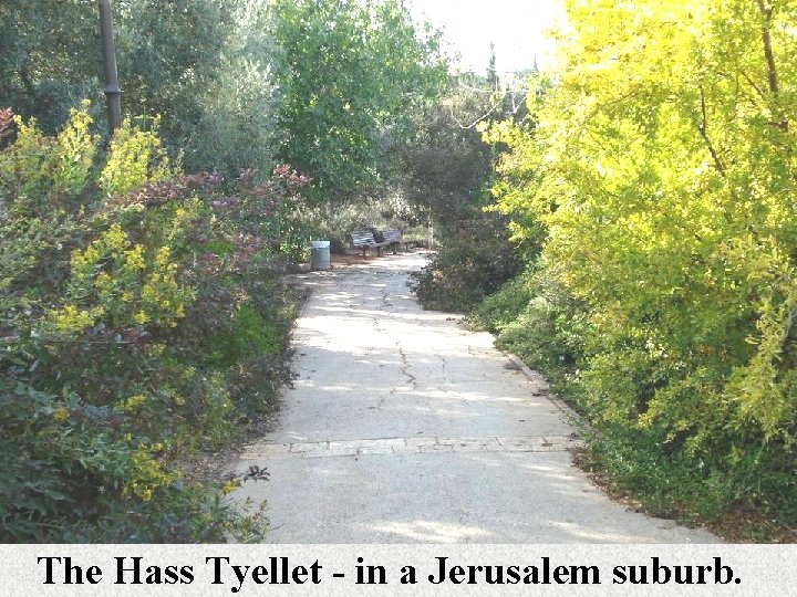 The Hass Tyellet - in a Jerusalem suburb. 