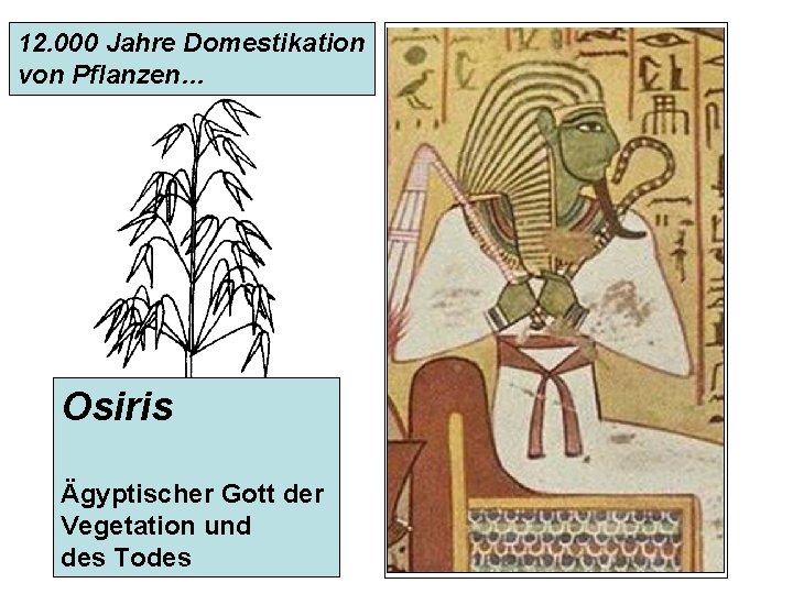 12. 000 Jahre Domestikation von Pflanzen… Osiris Ägyptischer Gott der Vegetation und des Todes