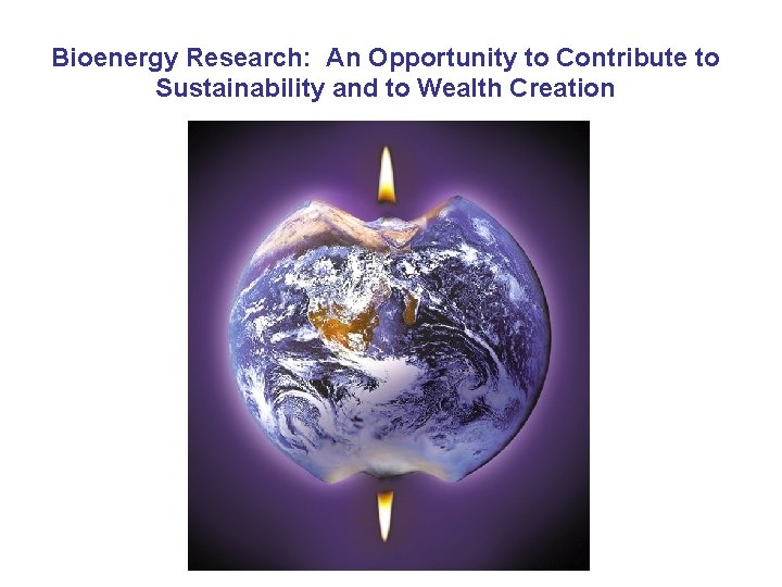 Bioenergy Research: An Opportunity to Contribute to Sustainability and to Wealth Creation 