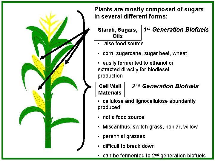 Plants are mostly composed of sugars in several different forms: Starch, Sugars, 1 st