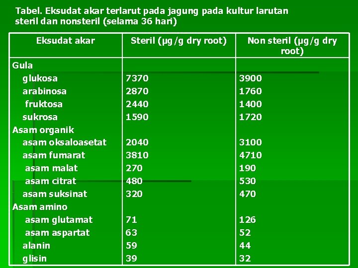 Tabel. Eksudat akar terlarut pada jagung pada kultur larutan steril dan nonsteril (selama 36