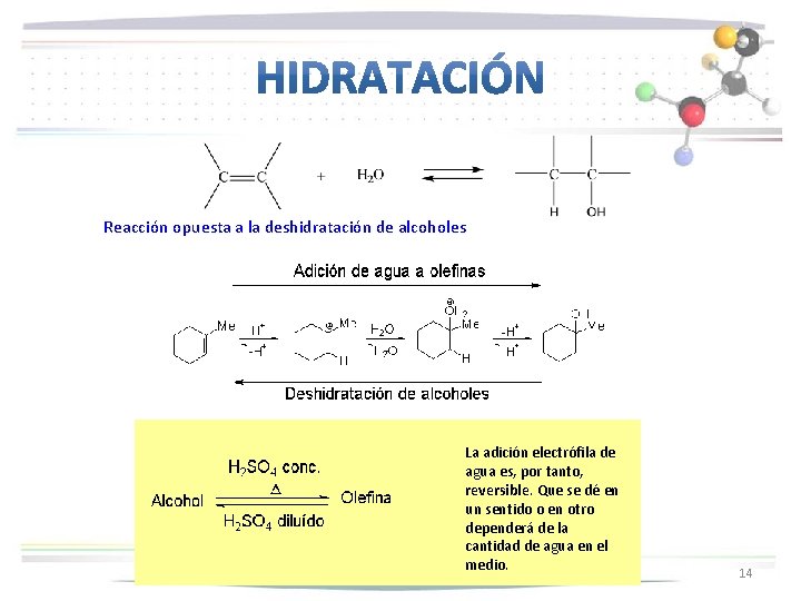 Reacción opuesta a la deshidratación de alcoholes La adición electrófila de agua es, por