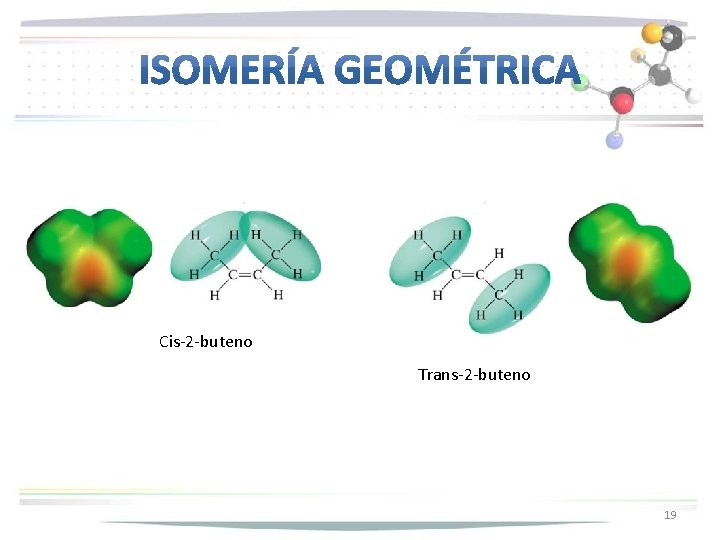 Cis-2 -buteno Trans-2 -buteno 19 