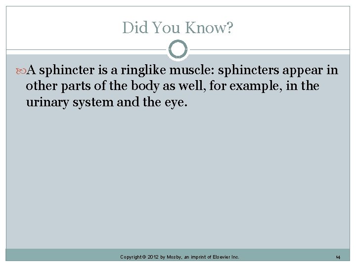 Did You Know? A sphincter is a ringlike muscle: sphincters appear in other parts