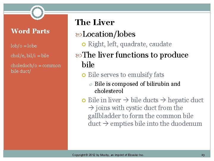 Word Parts lob/o = lobe chol/e, bil/i = bile choledoch/o = common bile duct/