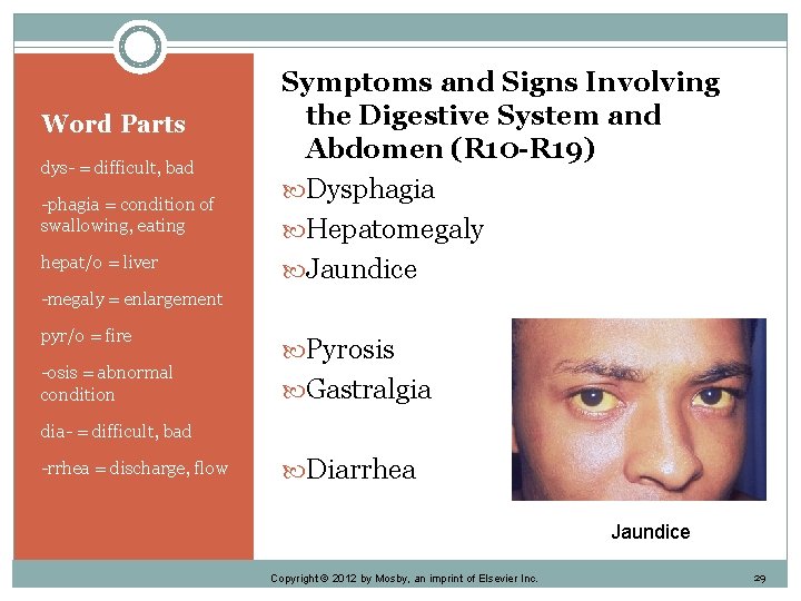 Word Parts dys- = difficult, bad -phagia = condition of swallowing, eating hepat/o =