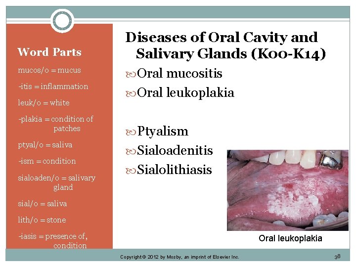 Word Parts mucos/o = mucus -itis = inflammation leuk/o = white -plakia = condition