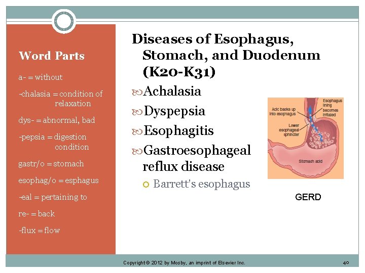 Word Parts a- = without -chalasia = condition of relaxation dys- = abnormal, bad