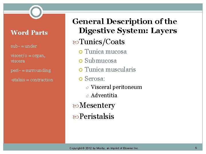 Word Parts sub- = under viscer/o = organ, viscera General Description of the Digestive
