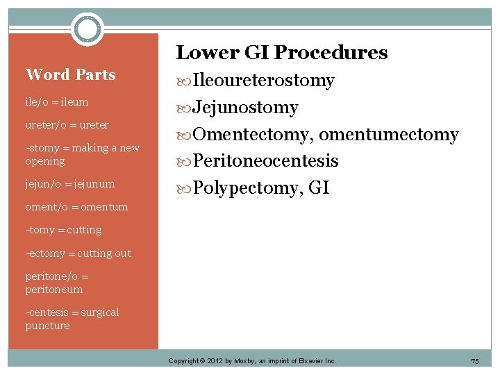 Word Parts ile/o = ileum ureter/o = ureter -stomy = making a new opening