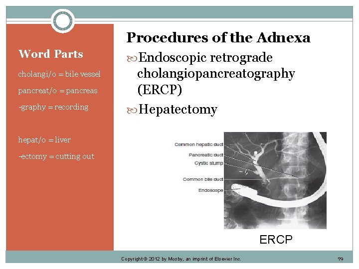 Word Parts cholangi/o = bile vessel pancreat/o = pancreas -graphy = recording Procedures of