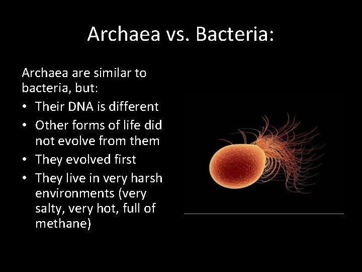 Archaea vs. Bacteria: Archaea are similar to bacteria, but: • Their DNA is different