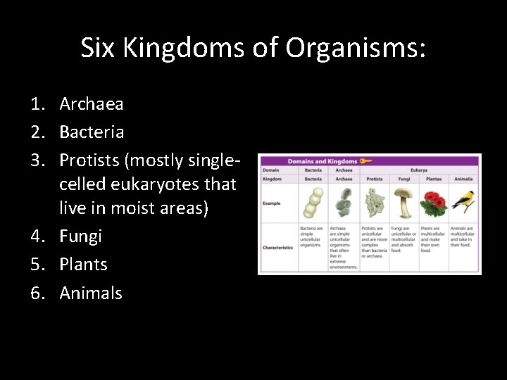 Six Kingdoms of Organisms: 1. Archaea 2. Bacteria 3. Protists (mostly singlecelled eukaryotes that