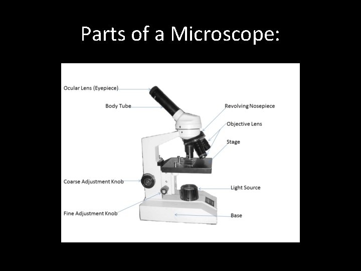 Parts of a Microscope: 