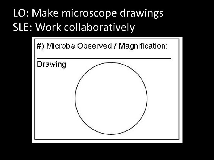 LO: Make microscope drawings SLE: Work collaboratively 