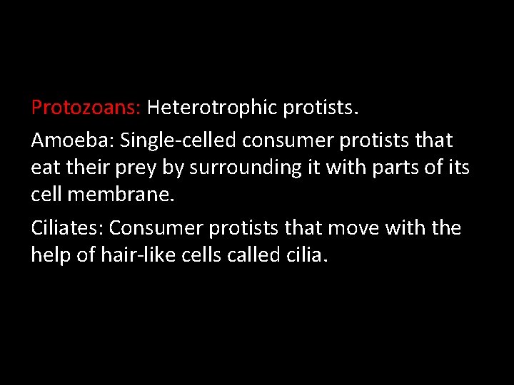 Protozoans: Heterotrophic protists. Amoeba: Single-celled consumer protists that eat their prey by surrounding it