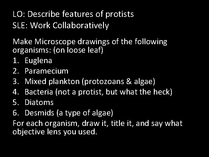 LO: Describe features of protists SLE: Work Collaboratively Make Microscope drawings of the following