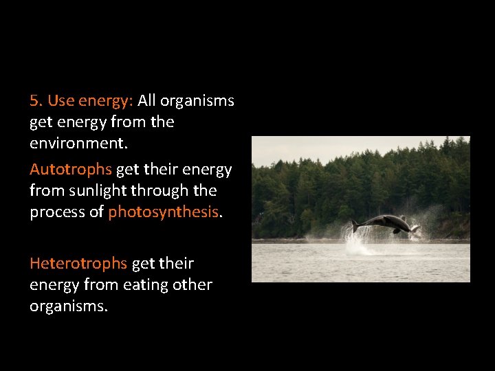 5. Use energy: All organisms get energy from the environment. Autotrophs get their energy