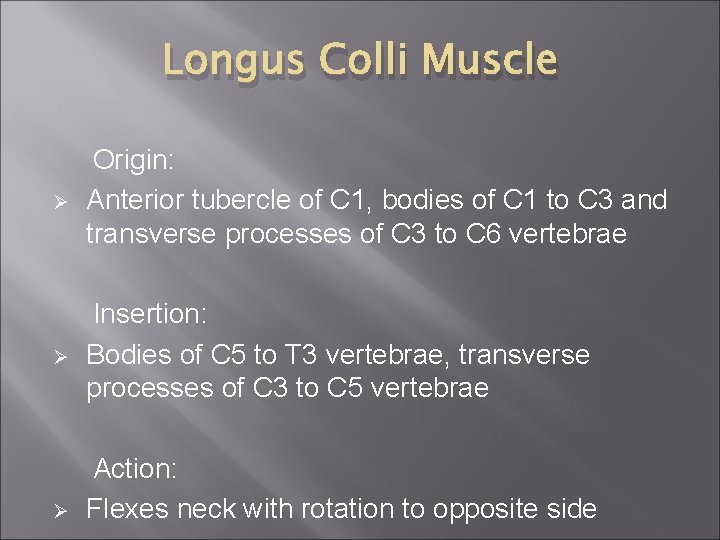 Longus Colli Muscle Ø Origin: Anterior tubercle of C 1, bodies of C 1