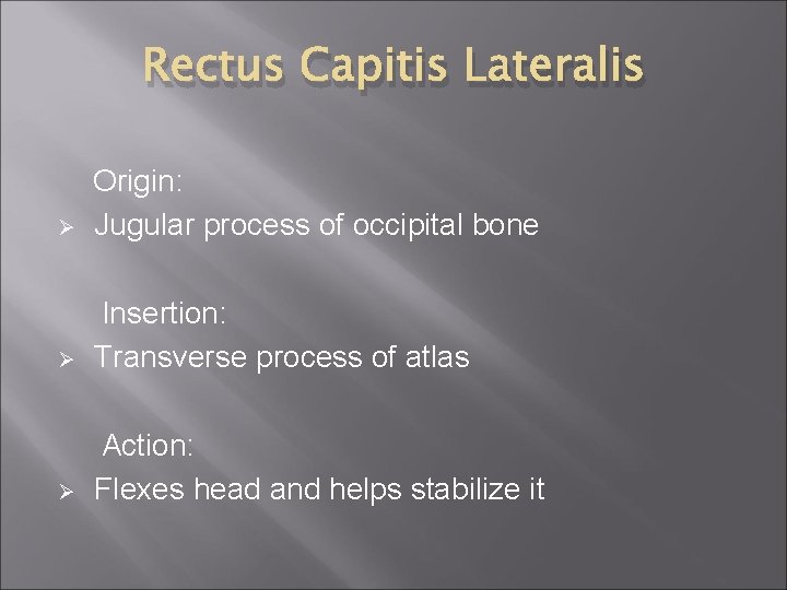 Rectus Capitis Lateralis Ø Origin: Jugular process of occipital bone Ø Insertion: Transverse process