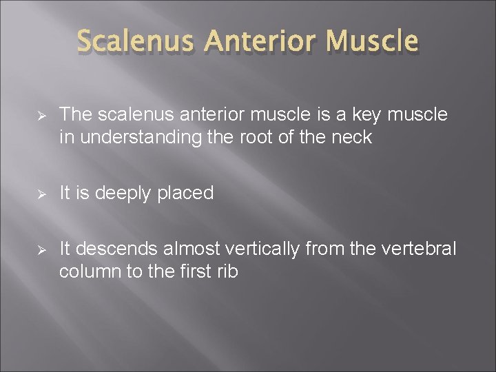 Scalenus Anterior Muscle Ø The scalenus anterior muscle is a key muscle in understanding