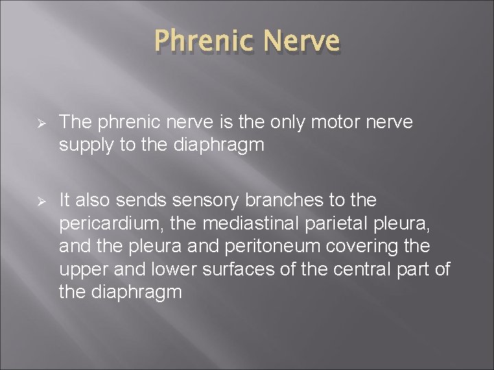 Phrenic Nerve Ø The phrenic nerve is the only motor nerve supply to the