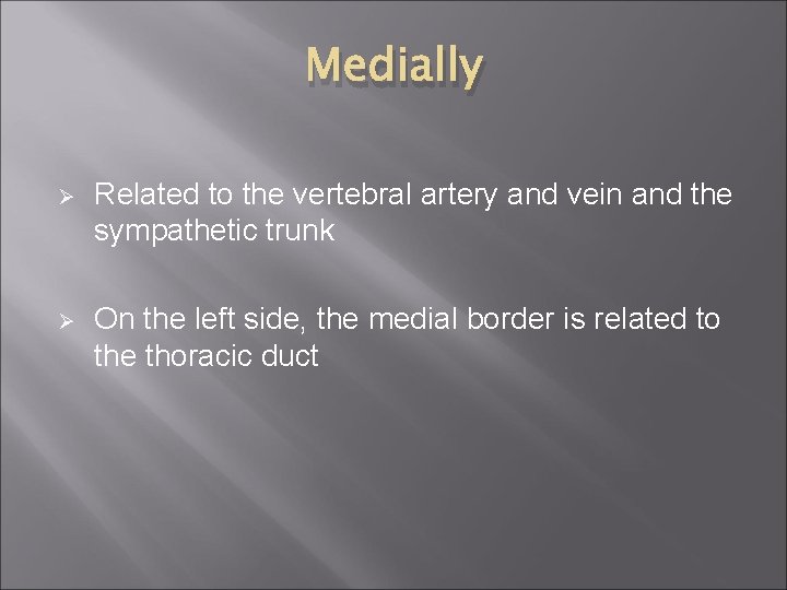 Medially Ø Related to the vertebral artery and vein and the sympathetic trunk Ø