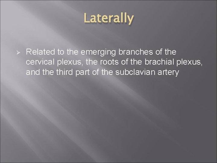 Laterally Ø Related to the emerging branches of the cervical plexus, the roots of