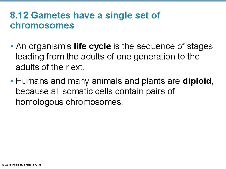 8. 12 Gametes have a single set of chromosomes • An organism’s life cycle