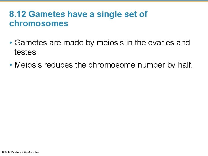 8. 12 Gametes have a single set of chromosomes • Gametes are made by