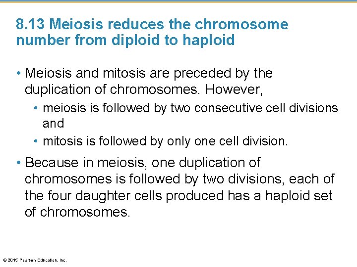 8. 13 Meiosis reduces the chromosome number from diploid to haploid • Meiosis and