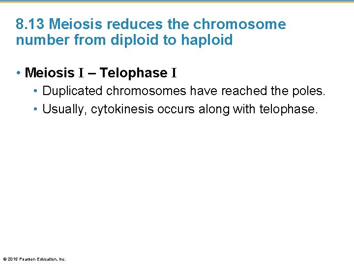 8. 13 Meiosis reduces the chromosome number from diploid to haploid • Meiosis I