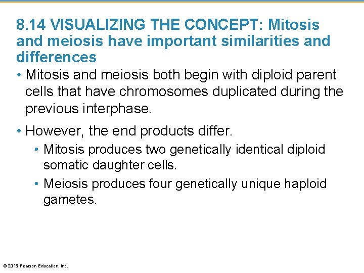 8. 14 VISUALIZING THE CONCEPT: Mitosis and meiosis have important similarities and differences •