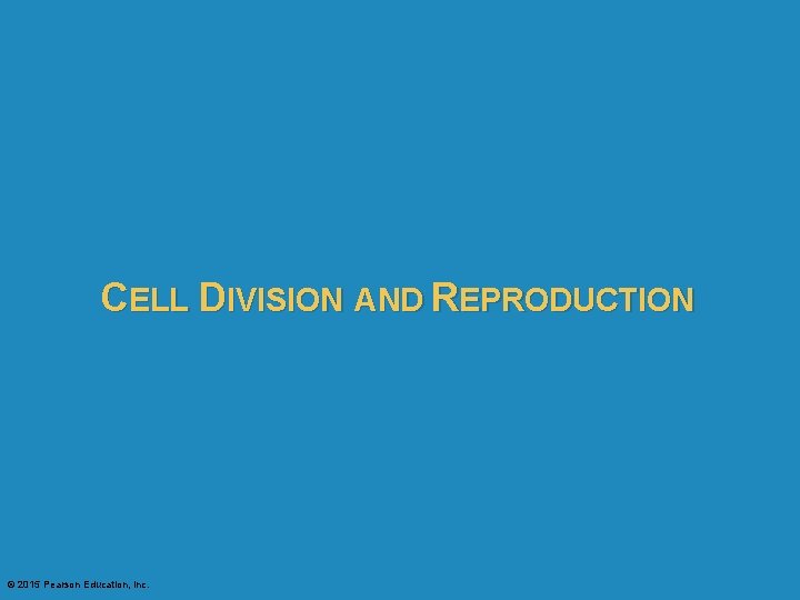 CELL DIVISION AND REPRODUCTION © 2015 Pearson Education, Inc. 