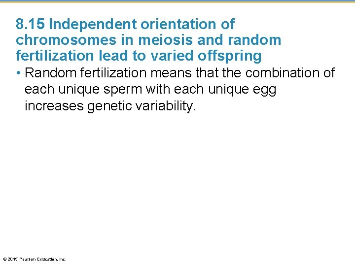 8. 15 Independent orientation of chromosomes in meiosis and random fertilization lead to varied