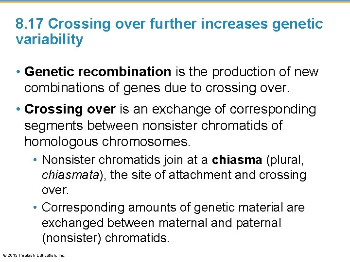 8. 17 Crossing over further increases genetic variability • Genetic recombination is the production