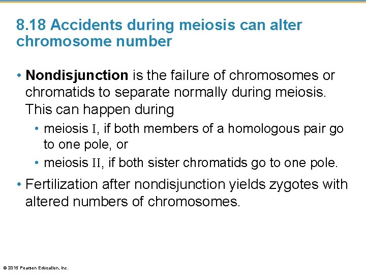 8. 18 Accidents during meiosis can alter chromosome number • Nondisjunction is the failure