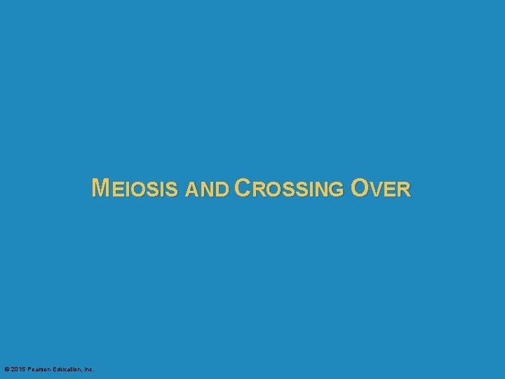 MEIOSIS AND CROSSING OVER © 2015 Pearson Education, Inc. 