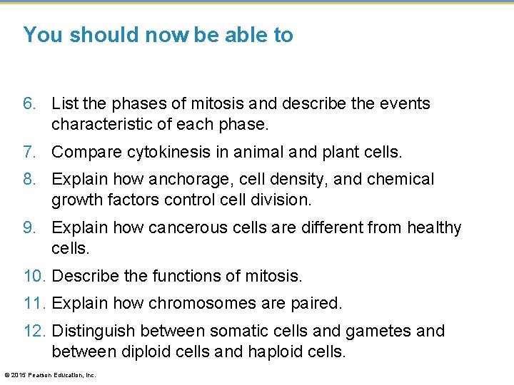 You should now be able to 6. List the phases of mitosis and describe