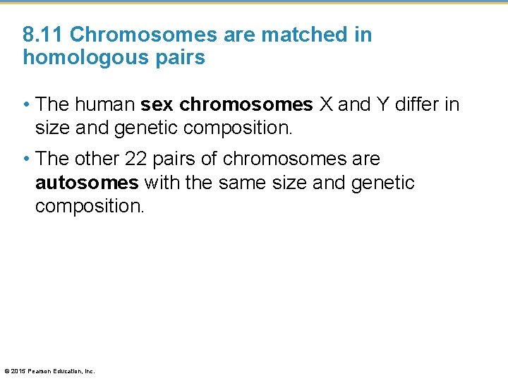 8. 11 Chromosomes are matched in homologous pairs • The human sex chromosomes X