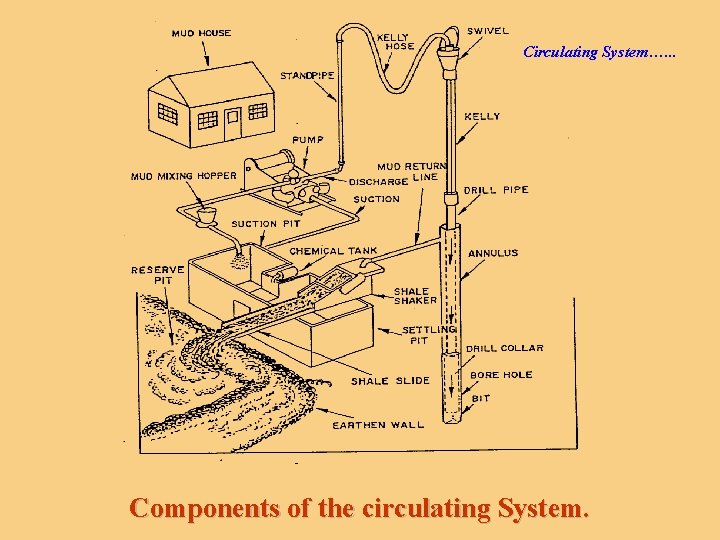 Circulating System…. . . Components of the circulating System. 