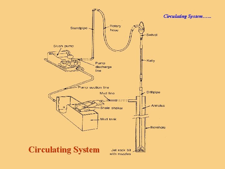 Circulating System…. . . Circulating System 