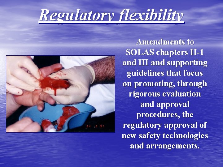 Regulatory flexibility Amendments to SOLAS chapters II-1 and III and supporting guidelines that focus