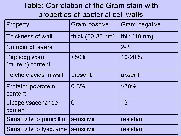 Table: Correlation of the Gram stain with properties of bacterial cell walls Property Gram-positive