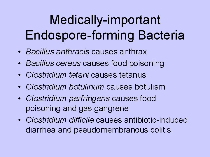 Medically-important Endospore-forming Bacteria • • • Bacillus anthracis causes anthrax Bacillus cereus causes food