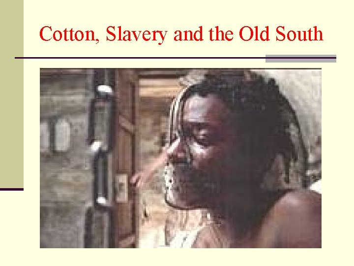 Cotton, Slavery and the Old South 