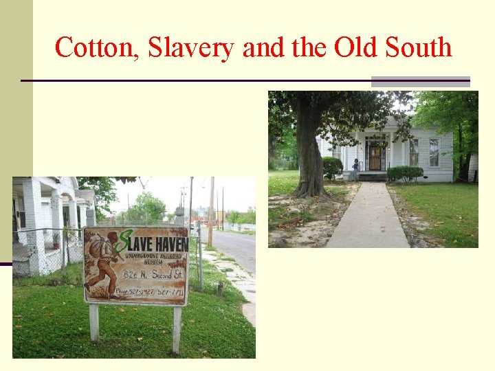 Cotton, Slavery and the Old South 