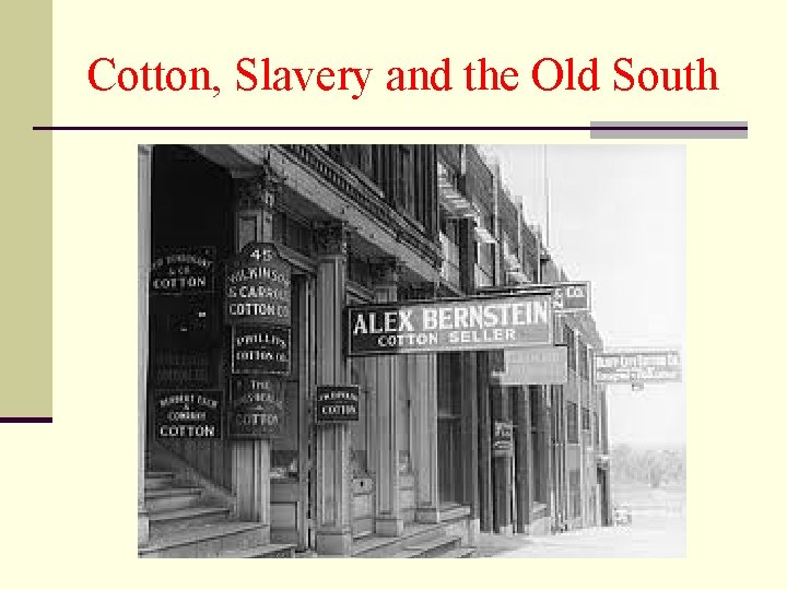 Cotton, Slavery and the Old South 