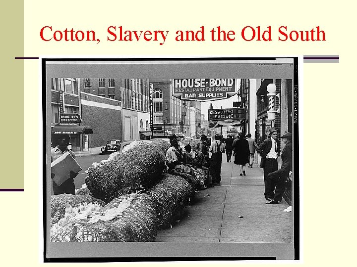 Cotton, Slavery and the Old South 