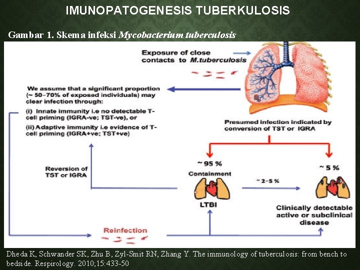 IMUNOPATOGENESIS TUBERKULOSIS Gambar 1. Skema infeksi Mycobacterium tuberculosis Dheda K, Schwander SK, Zhu B,
